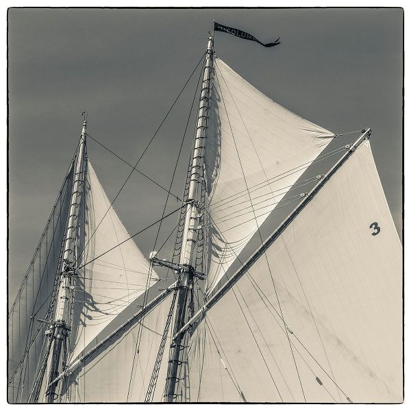New England-Massachusetts-Cape Ann-Gloucester-Gloucester Schooner Festival-schooner sails